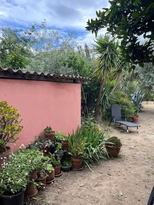 Maison De Village Vintage Avec Grand Jardin Elne Bagian luar foto